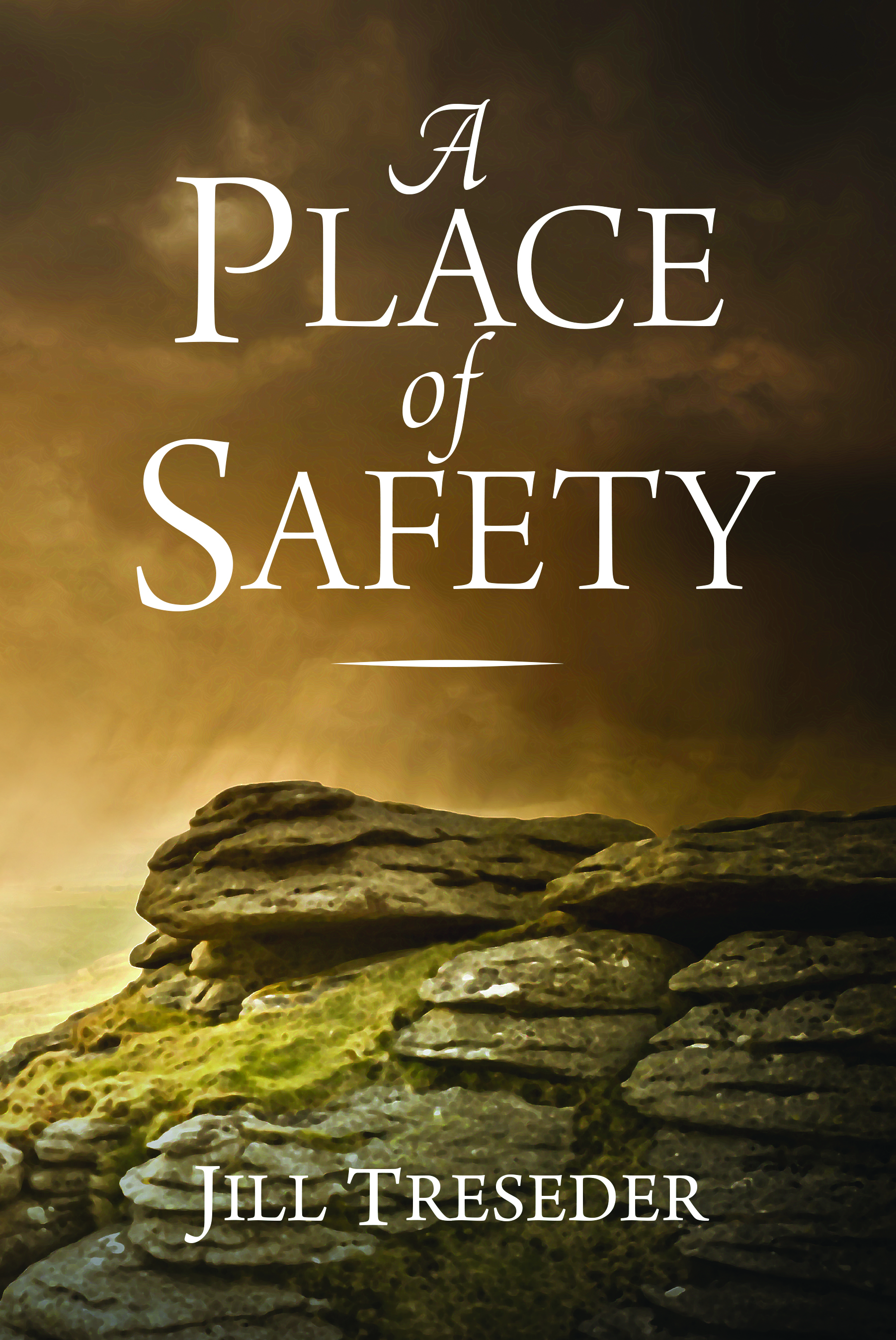 A Place of Safety - novel by Jill Treseder